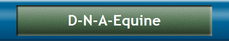 D-N-A-Equine