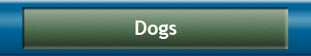 Dogs