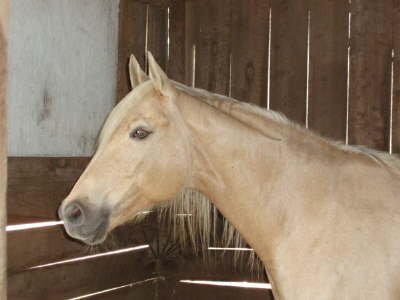 P3100222