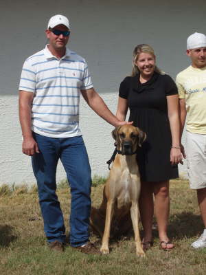 Gavin
